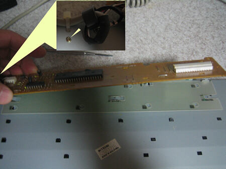 �r�X�R�{�{�A�[�X�ɂP�{