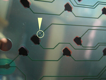 �������f���N�T�C