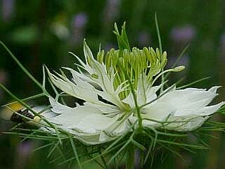 �E�^�^�l�\�E