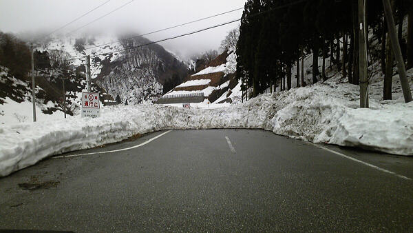 正真正銘『凍結』中