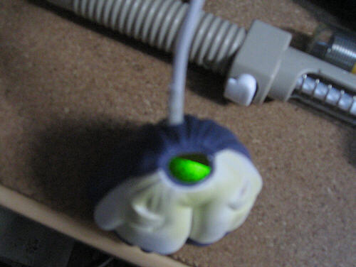 煌めく下半身