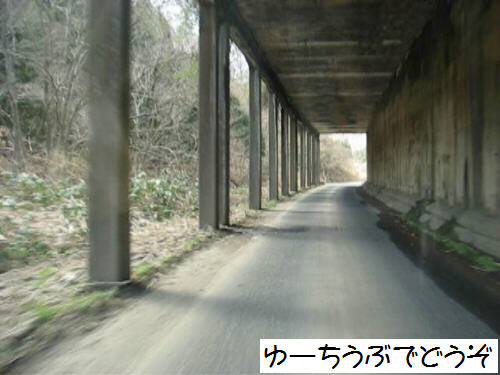 では、走ってみましょう